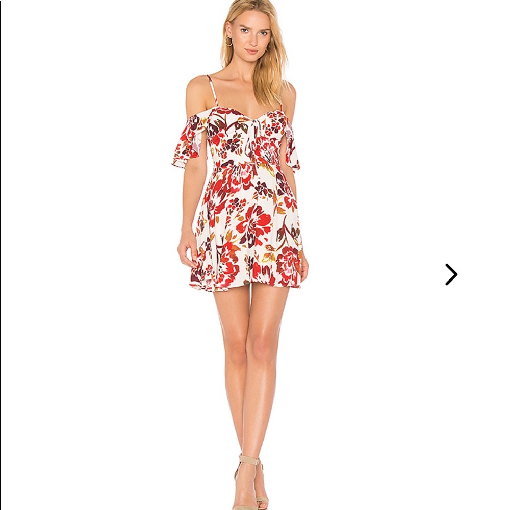Lovers + Friends All Over Mini Dress in Size XS